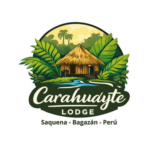 WeCreativez WhatsApp Support